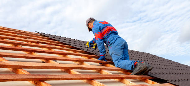 Best Chimney Flashing Repair  in Dillonvale, OH