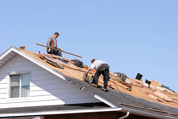 Best Gutter Installation and Repair  in Dillonvale, OH