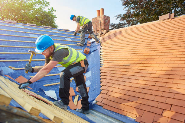 Best Roof Moss and Algae Removal  in Dillonvale, OH
